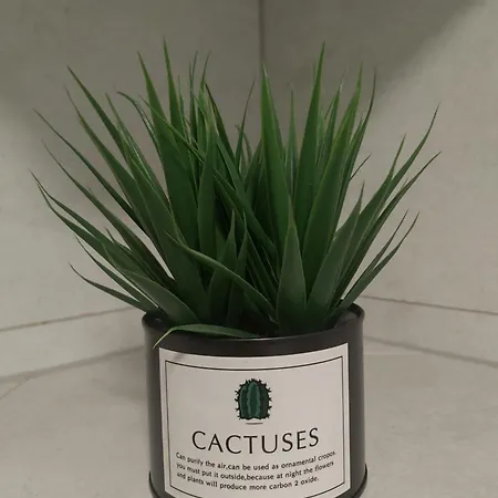 Appartement Center Luxury Bob