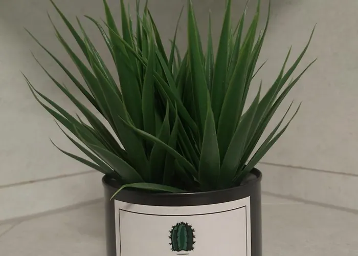 Appartement Center Luxury Bob